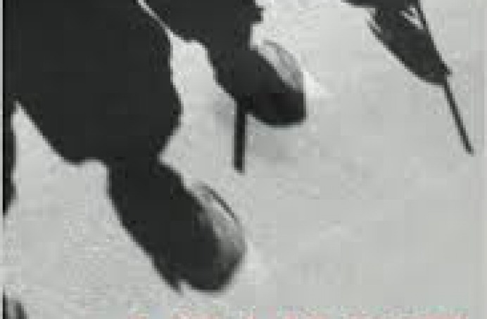 Against the State: An Anarcho-Capitalist Manifesto