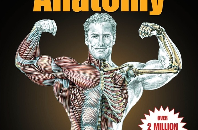 Strength Training Anatomy